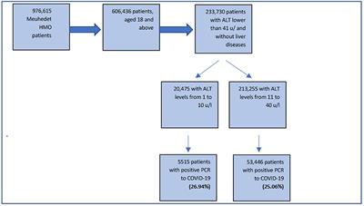 Patients with low ALT levels are at increased risk for severe COVID-19